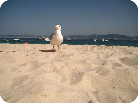 Best Way For A Gay Guy To Masterbate