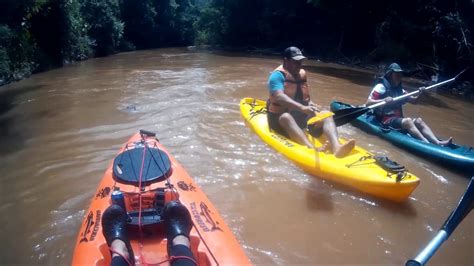 Passeio De Caiaque No Rio Mogi YouTube