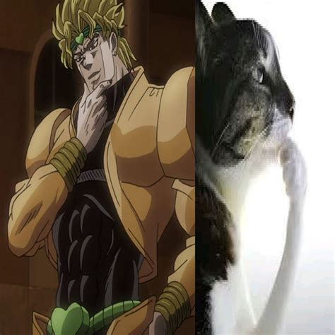 Pin by ⤷゛˗甲斐⋆‧₊˚♪ 𐂯⊹꒱ on animes and cartoons :D | Jojo bizarre, Jojo's