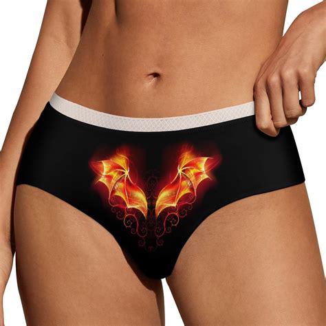 Dragon Wings Of Fire Women S Lace Brief Breathable Sexy Elastic Bikini Hipster Panties Lady