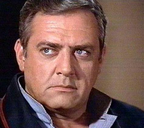 Pin By Linda Raniere Macdougall On Mr Perry Mason Chief Robert T