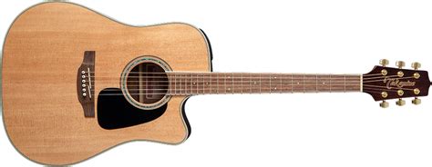 Takamine Guitars :: G-Series Guitars