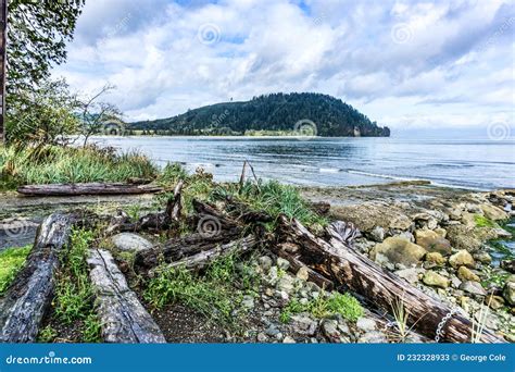 Pillar Point Landscape Stock Image Image Of State Nature 232328933