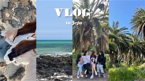 Vlog 제주도 브이로그🌴 치과가 아닌 여행ㅎㅎ 제주 맛집 추천 제주 카페 추천 Youtube