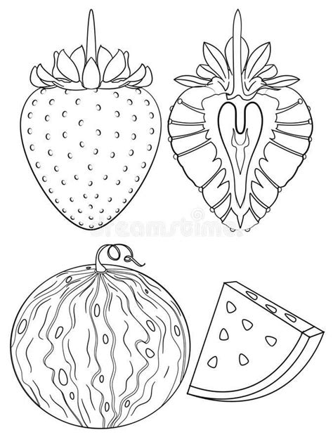 Fresa Y Sandia Para Colorear Imprimir E Dibujar Coloringonly