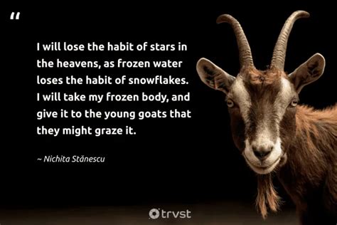 20 Goat Quotes And Sayings About The Bleating Creature (2024)