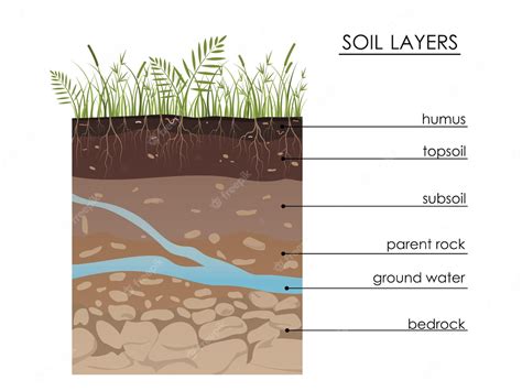 Premium Vector Soil Layers Diagram With Underground Water Geology