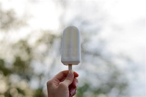 O Gelado De Coco Da Terra Arrendada Da Mulher No Parque Delicioso