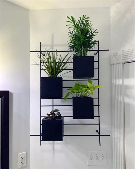 4 Box Wall Mounted Indoor Outdoor Planter Reviews Crate And Barrel Canada