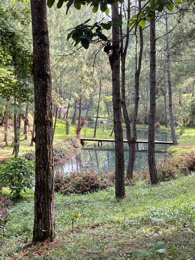 Actividades Finca Chijul Lugar Tur Stico Alta Verapaz