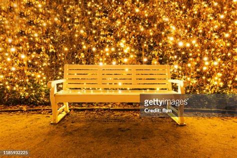 Christmas Lights Park Photos and Premium High Res Pictures - Getty Images