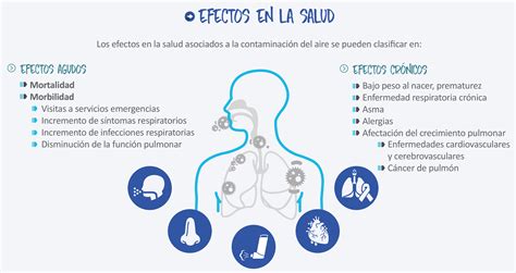 Efectos De La Contaminacion Del Aire En La Salud Humana