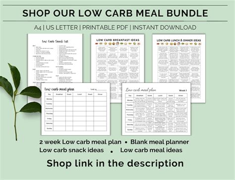 Printable 2 Week Low Carb Meal Plan, Low Carb Diet Plan, Diabetic Meal and Snack Planner, Low ...