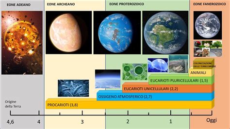 La Comparsa Della Vita Sulla Terra Youtube