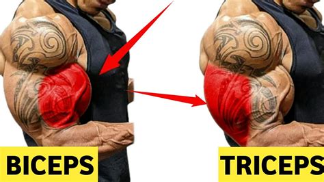 Bicep Tricep Superset Workout At Gym Yourfitnesstories Biceps Fitness My Life Triceps Youtube