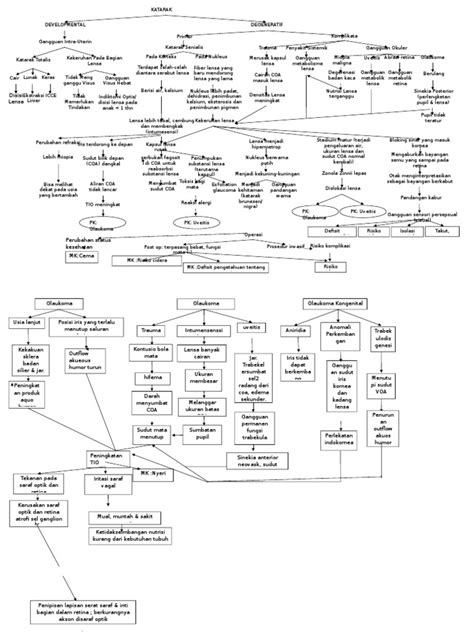 PDF Woc Katarak Dan Glaukoma DOKUMEN TIPS