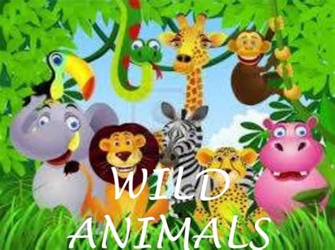 Animals powerpoints for kids