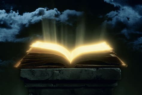 book  life