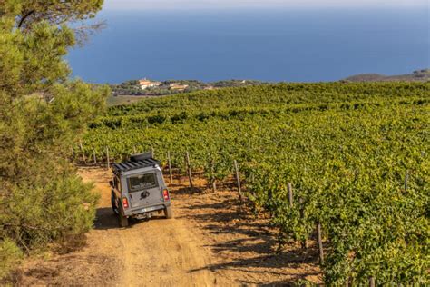 Wine Resort All Isola D Elba Riapre La Stagione Di Tenuta Delle Ripalte