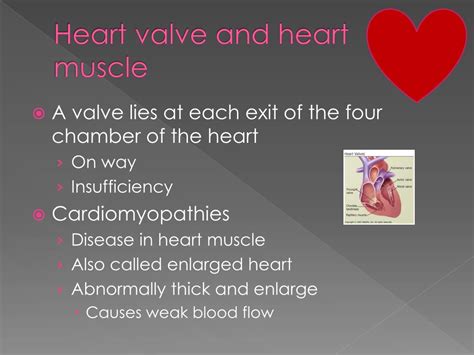 Ppt Cardiovascular Disease Powerpoint Presentation Free Download Id 2812209