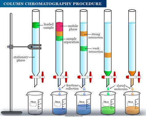 Column Chromatography Definition Principle Parts Steps Off