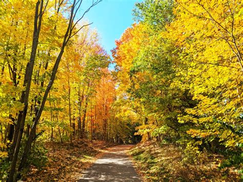 5 Tips to Enjoy Fall Colors in Northern Michigan – Take A Trip Together