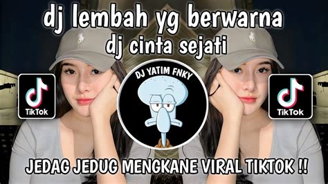 DJ LEMBAH YG BERWARNA DJ CINTA SEJATI REMIX MENGKANE VIRAL TIKTOK