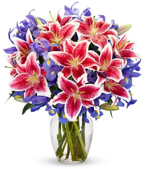 Order Iris Flowers for Any Occasion - From You Flowers