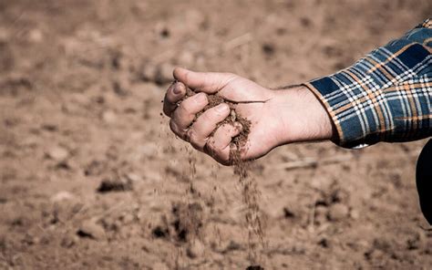 La Sequ A Asfixia Al Del Campo Espa Ol Incluidas Millones De