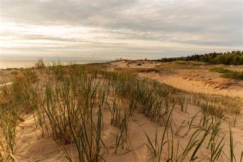 Grassy Sand Dunes And Lake Michigan At Sunset Stock Image Image Of