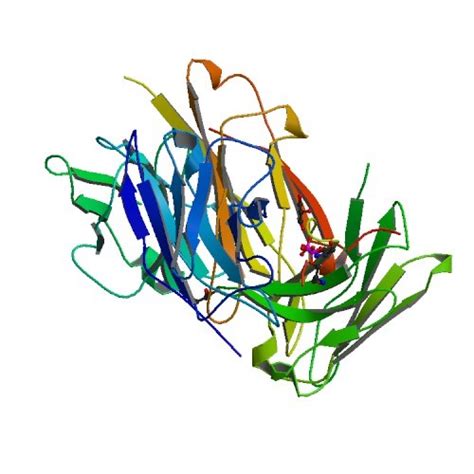 Tau Proteins