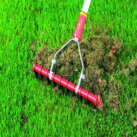 Interlocken® Dethatching And Moss Removal Rake Dethatching Grass Care