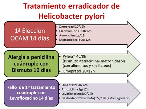 Antibiótico Para H Pylori - Tratamiento Helicobacter Pylori
