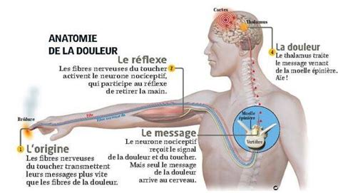 Épinglé sur Santé