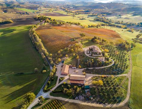 Le Grand Tasting Paris Tenuta Di Tavignano