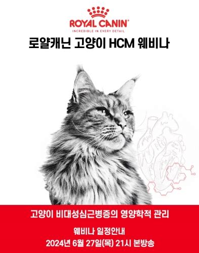 ‘고양이 비대성 심근병증 영양학적 관리’ 로얄캐닌 웨비나 27일 개최 데일리벳