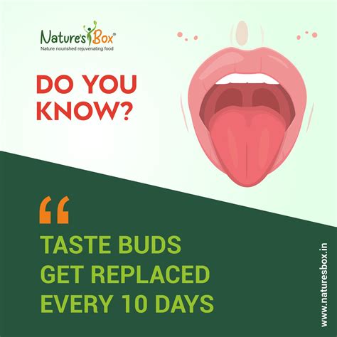 Why Do Tastebuds Change?