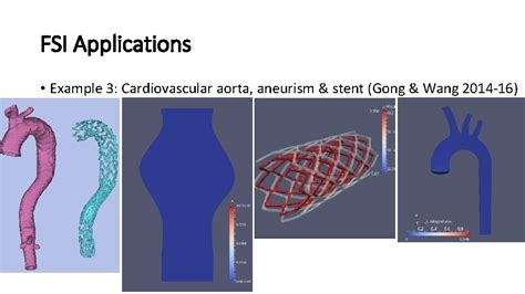 Modeling And Simulations Of Fluidstructure Interactions Fsi Fsi