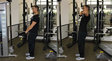 Upright Cable Row – The Optimal You | Online Personal Trainers & Holistic Nutrition