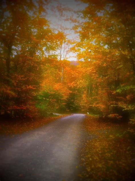 Best Fall Foliage In Forksville, Pennsylvania