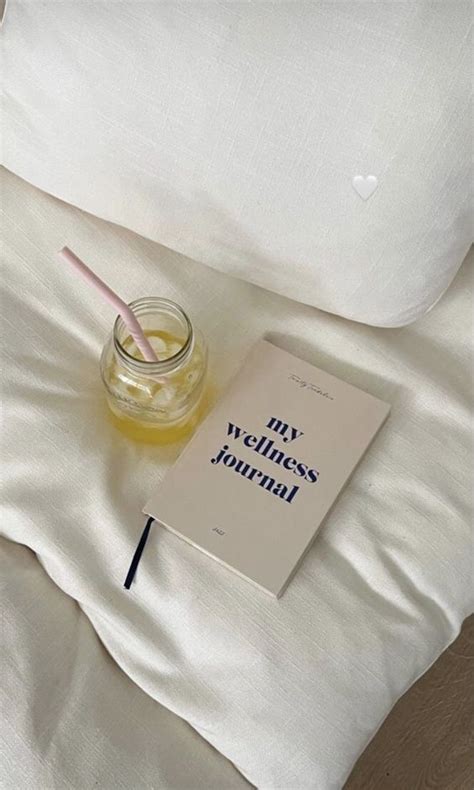 Clean Girl Aesthetic Journal Wellness Selfcare Essentials