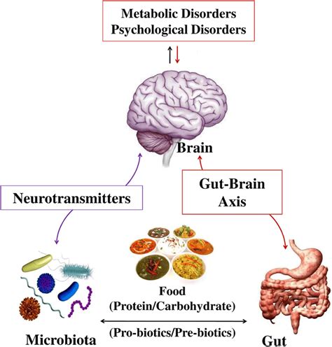 Relationship Between Metabolic Disorders And Psychological Disorders