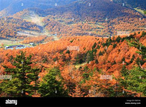 Gunma Prefecture, Japan Stock Photo - Alamy