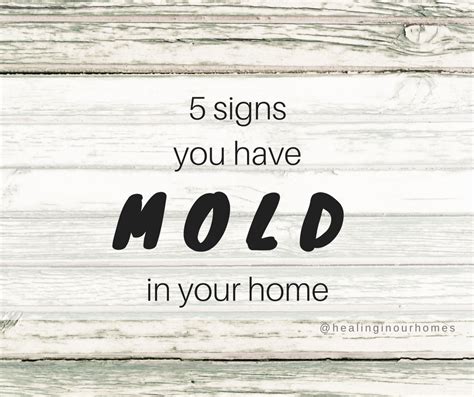 5 Signs You Have Mold In Your Home Healing In Our Homes Signs Molding Home