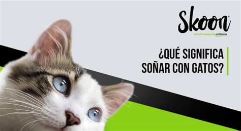 El inquietante significado de soñar con un gato muerto Qué revela tu