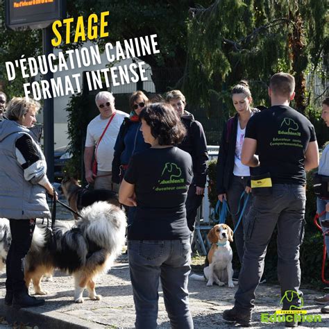 Stage d Éducation Canine FORMAT INTENSE EDUCHIEN YVELINES Alexis