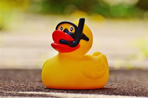 Great Rubber Duck Race winners announced – Mountain Messenger