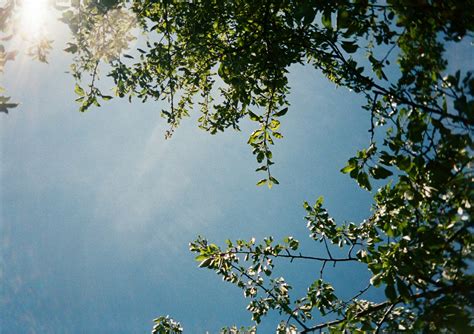 The Joys Of A Benevolent Oppression James Greenoff Photography