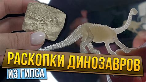 Раскопки динозавров в горах Сочи. Игрушки динозавры Dinosaur Fossils ...