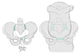 Toys Devices Contraptions Genitalia Luscious Hentai Manga Porn